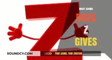 Unraveling the Buzzing Mystery: What Sound Does the Letter Z Make?