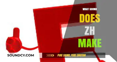 Mastering the 'Zh' Sound: Pronunciation, Examples, and Common Uses