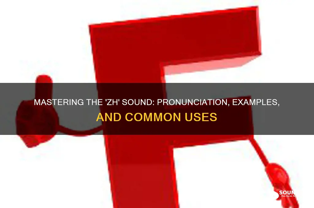 what sound does zh make
