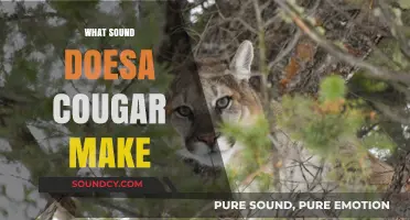 Unveiling the Mysterious Vocalizations: What Sound Does a Cougar Make?