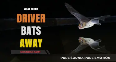 How Bats Navigate and Hunt Using Advanced Sound Drivers