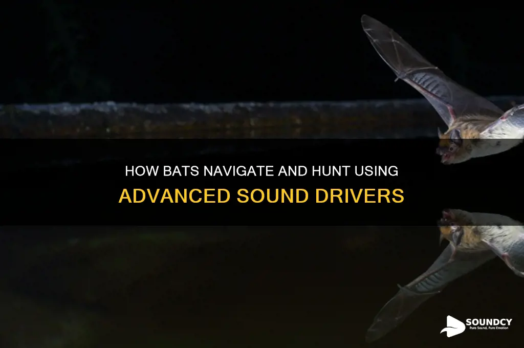 what sound driver bats away