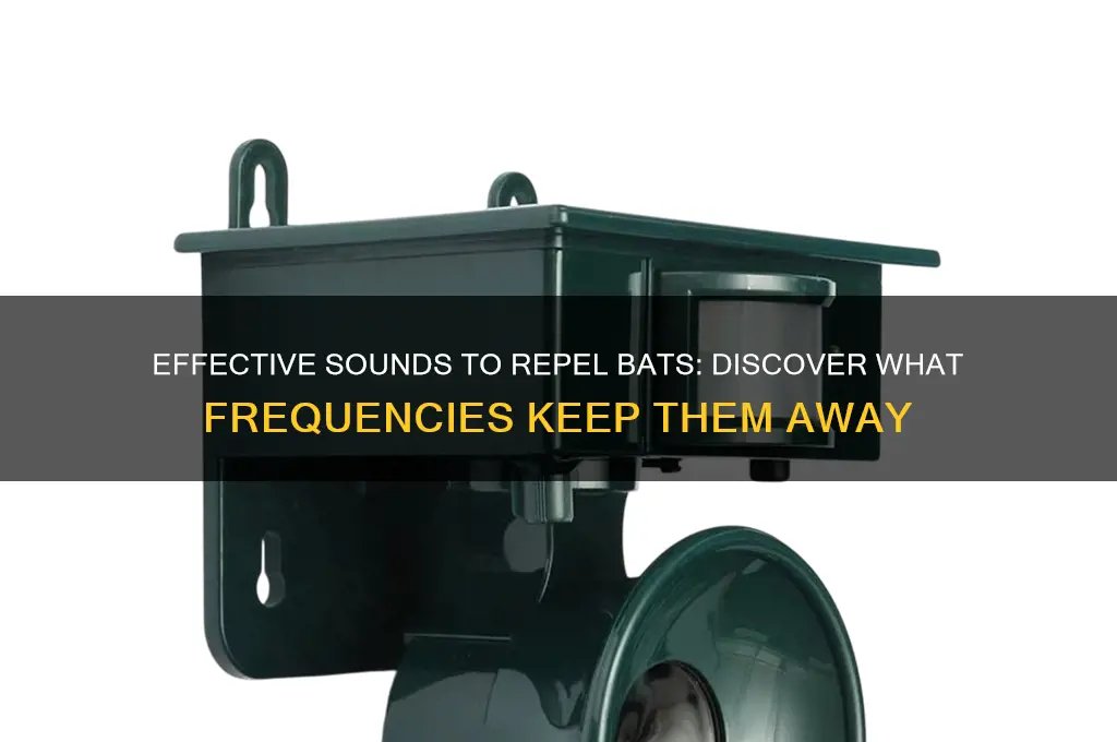 what sound drives bats away