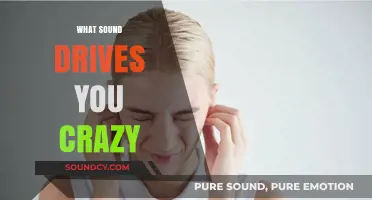 Unbearable Noises: What Everyday Sounds Drive You to Distraction?