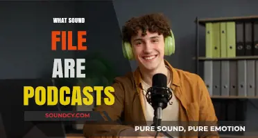 Understanding Podcast Audio: What Sound File Formats Are Used?