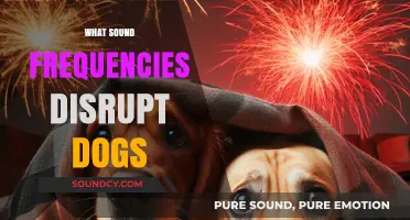 Uncovering the High-Pitched Sounds That Disturb Your Dog's Peace