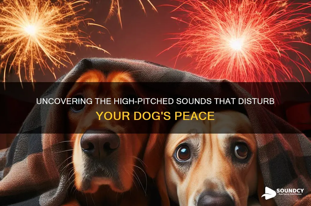 what sound frequencies disrupt dogs