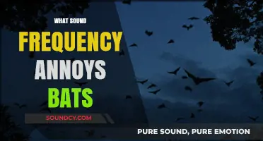 Unveiling the Irritating Sound Frequency That Bothers Bats the Most