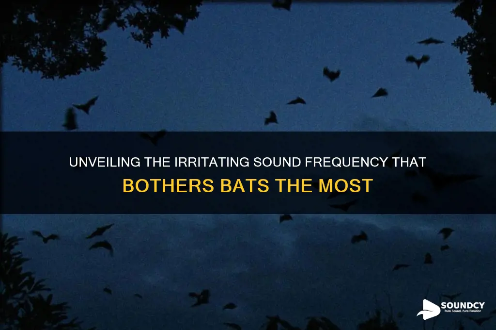 what sound frequency annoys bats