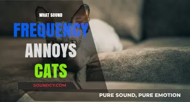 Unveiling the Irritating Sound Frequencies That Annoy Cats the Most