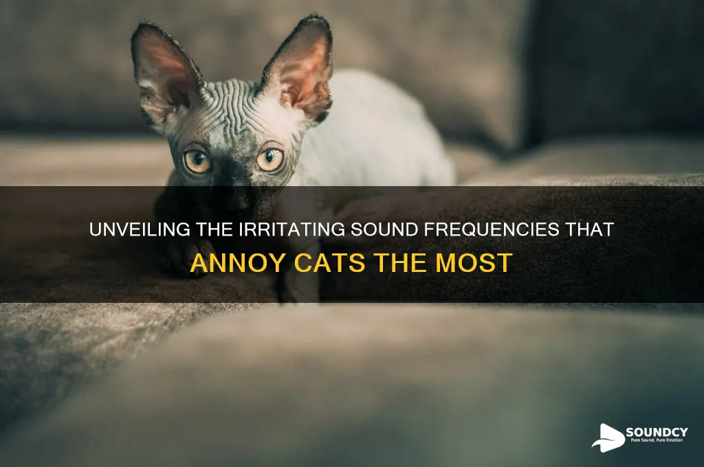 what sound frequency annoys cats
