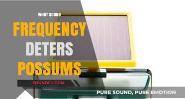 Effective Sound Frequencies to Keep Possums Away from Your Property