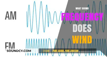 Exploring the Audible Wind Frequency: What Sound Does Wind Produce?