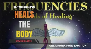Healing Sounds: Frequencies for Body and Mind