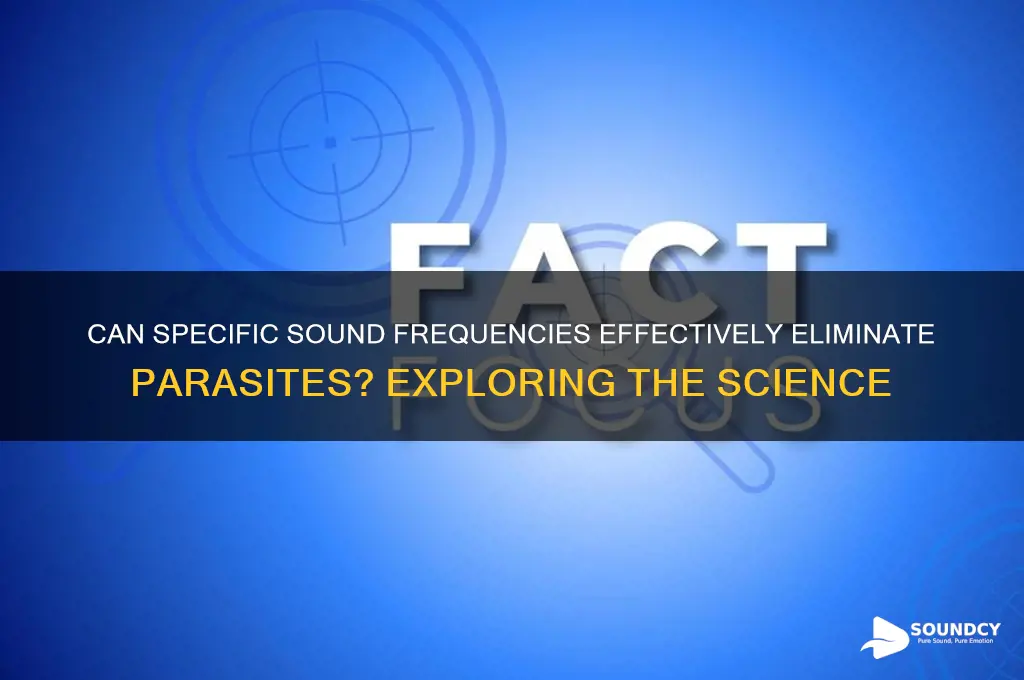 what sound frequency kill parasites
