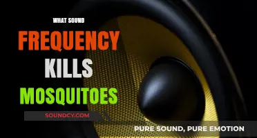 Buzz Off: The Lethal Sound Frequency to Kill Mosquitoes