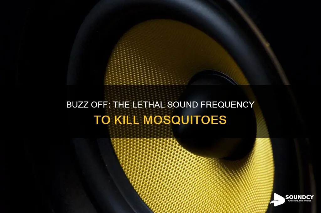what sound frequency kills mosquitoes