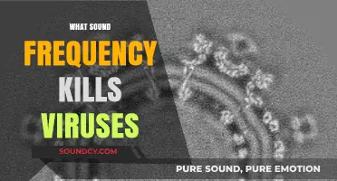 Can Specific Sound Frequencies Destroy Viruses? Exploring the Science Behind It