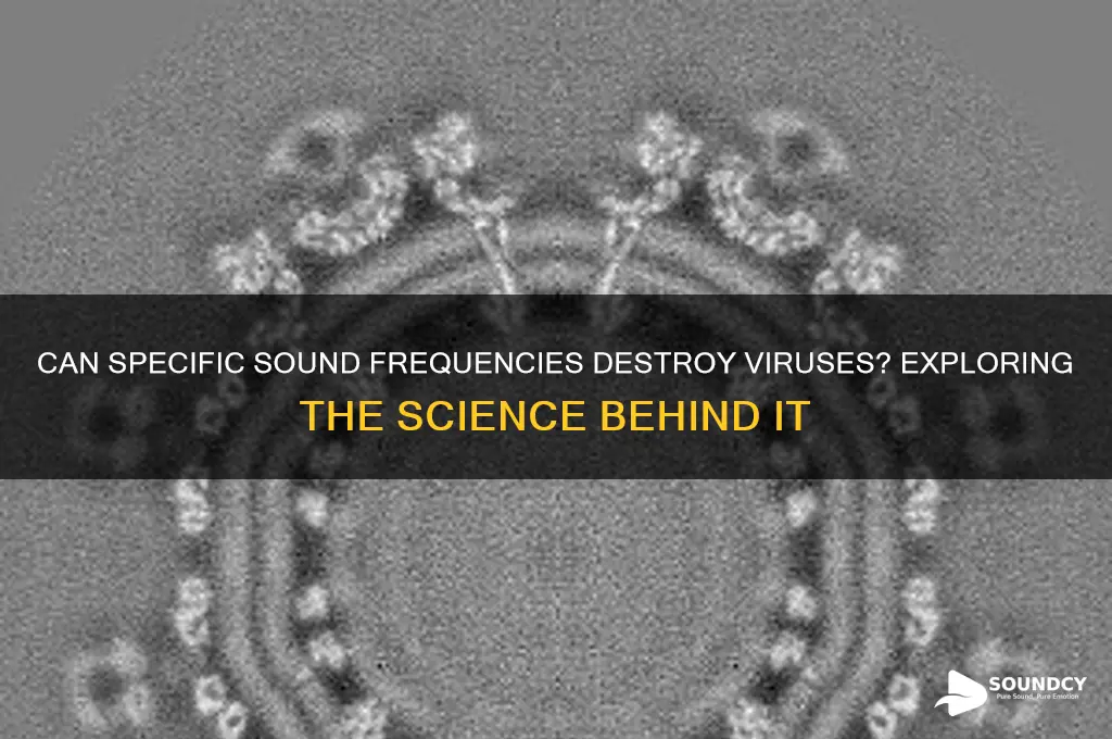 what sound frequency kills viruses