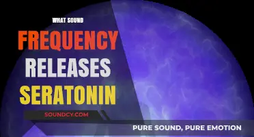 Unveiling the Serotonin Boost: Sound Frequencies for Mood Enhancement