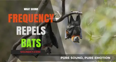 Effective Sound Frequencies to Deter Bats: A Comprehensive Guide