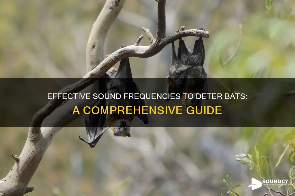 what sound frequency repels bats