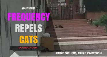 Effective Sound Frequencies to Keep Cats Away: A Comprehensive Guide