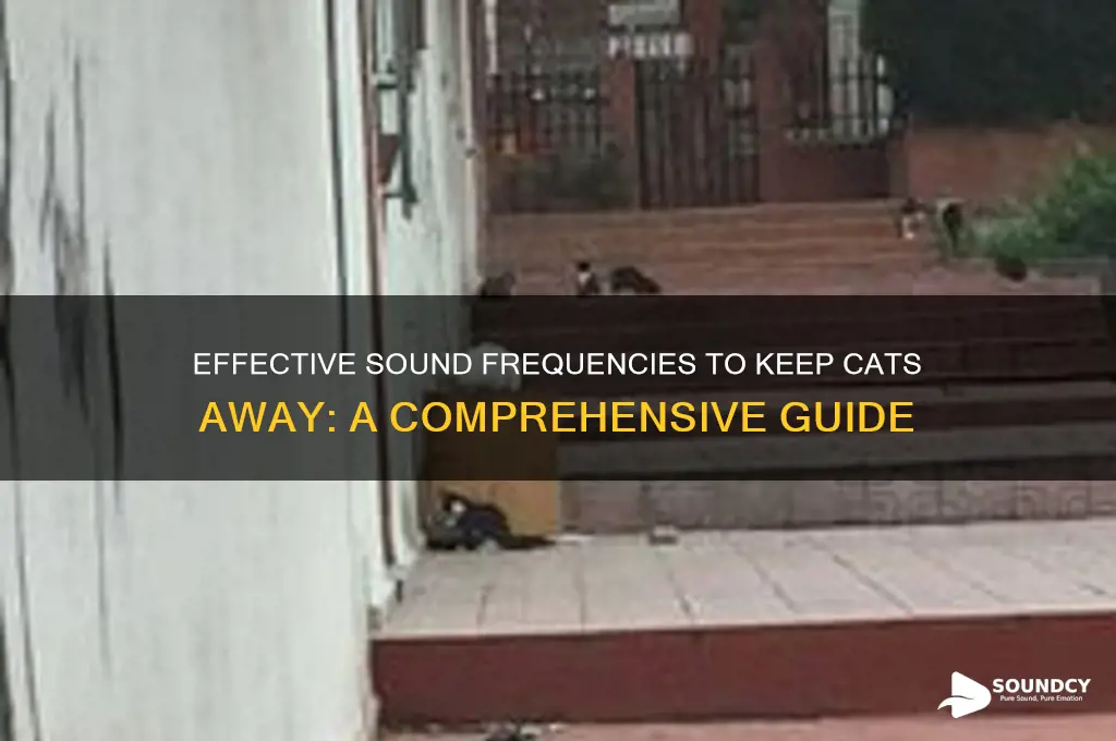 what sound frequency repels cats