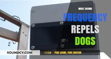 Effective High-Frequency Sounds to Safely Deter Dogs: A Guide
