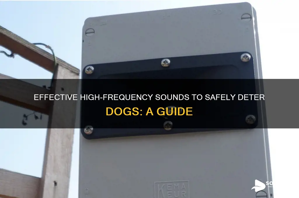 what sound frequency repels dogs