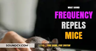 Effective High-Frequency Sounds to Deter Mice from Your Home
