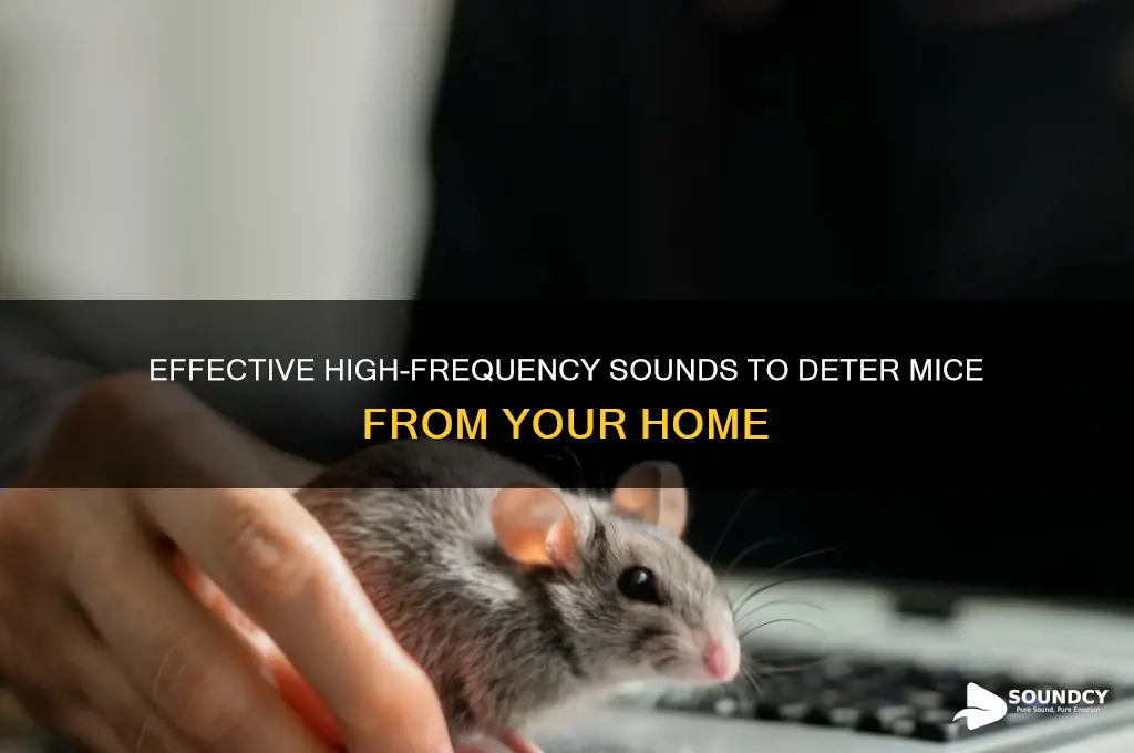 what sound frequency repels mice