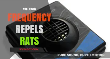 Effective Rat Repellent: Discover the Optimal Sound Frequency to Keep Rats Away