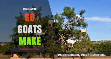 Unraveling the Unique Sounds: What Noises Do Goats Actually Make?