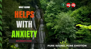 Calming Sounds: How Nature and Music Ease Anxiety Naturally
