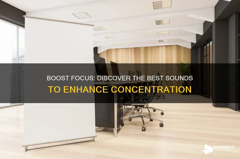 what sound helps you concentrate
