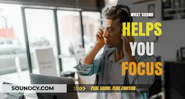 Boost Your Productivity: Discover the Best Sounds for Focus and Concentration