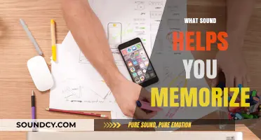 Unlocking Memory: The Surprising Power of Sound in Memorization Techniques