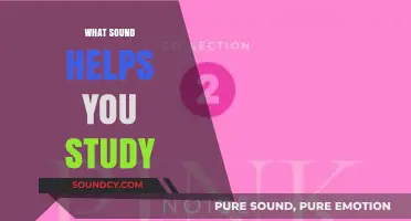 Boost Your Focus: Discover the Best Study Sounds for Productivity