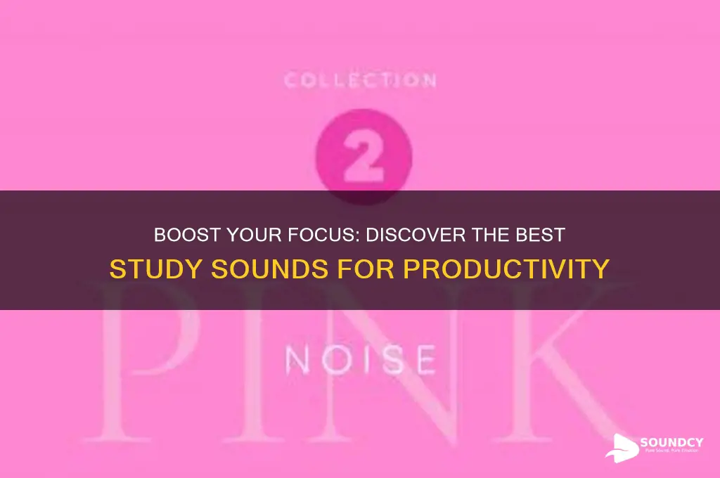 what sound helps you study