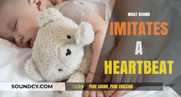 The Rhythmic Echo: Sounds That Mimic a Heartbeat's Steady Pulse