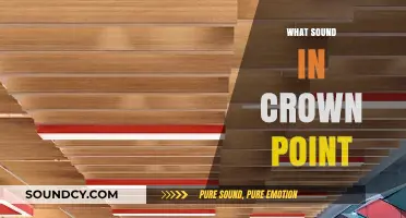 Exploring Crown Point's Unique Soundscape: A Journey Through Its Acoustic Identity