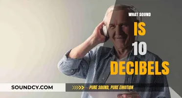 Understanding the Quiet: What Does 10 Decibels Sound Like?