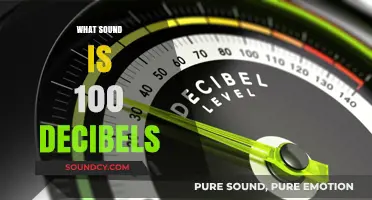 Understanding the Loudness: What Does 100 Decibels Sound Like?