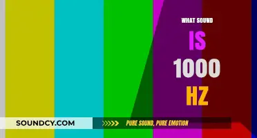 Understanding the Tone: What Does 1000 Hz Sound Like?