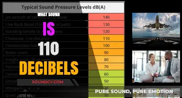 Understanding the Intensity: What Sound is 110 Decibels?