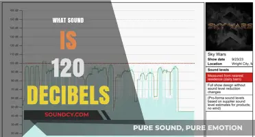 Understanding the Intensity: What Sound is 120 Decibels?