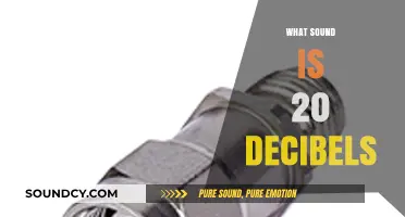 Understanding the Quiet: What Does 20 Decibels Sound Like?