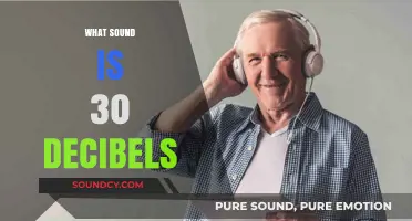 Understanding the Quiet: What Does 30 Decibels Sound Like?