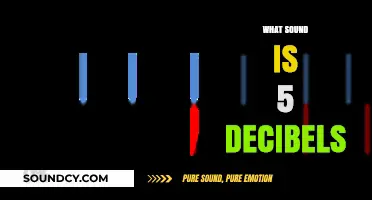 Understanding the Quiet: What Sound is 5 Decibels?